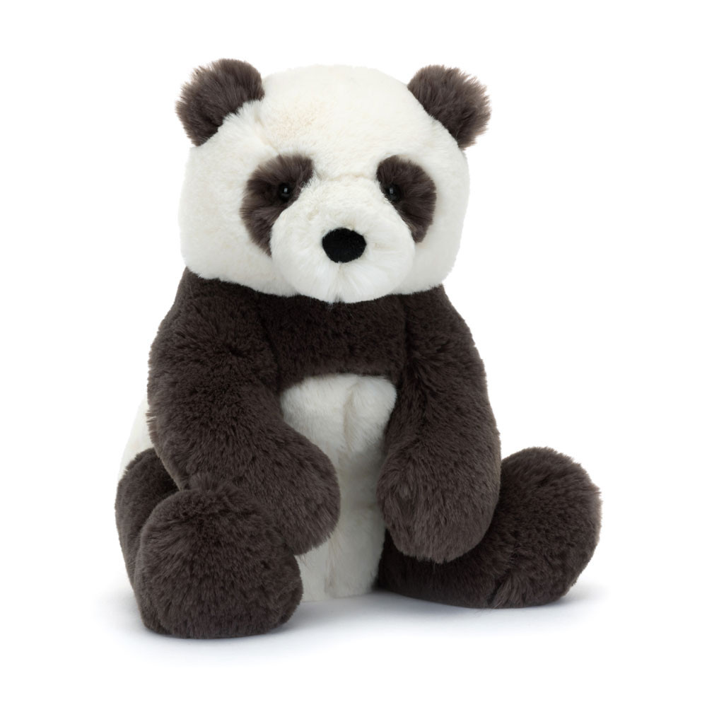 Harry Panda Cub